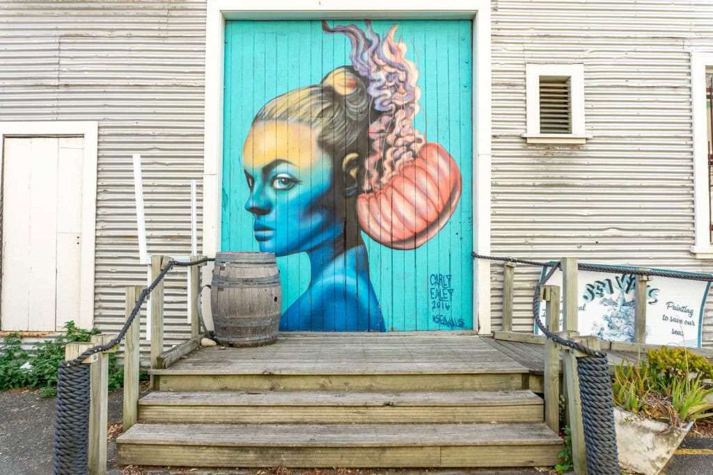 A mural in Napier by Carly Ealey with a woman with a jellyfish in her hair.