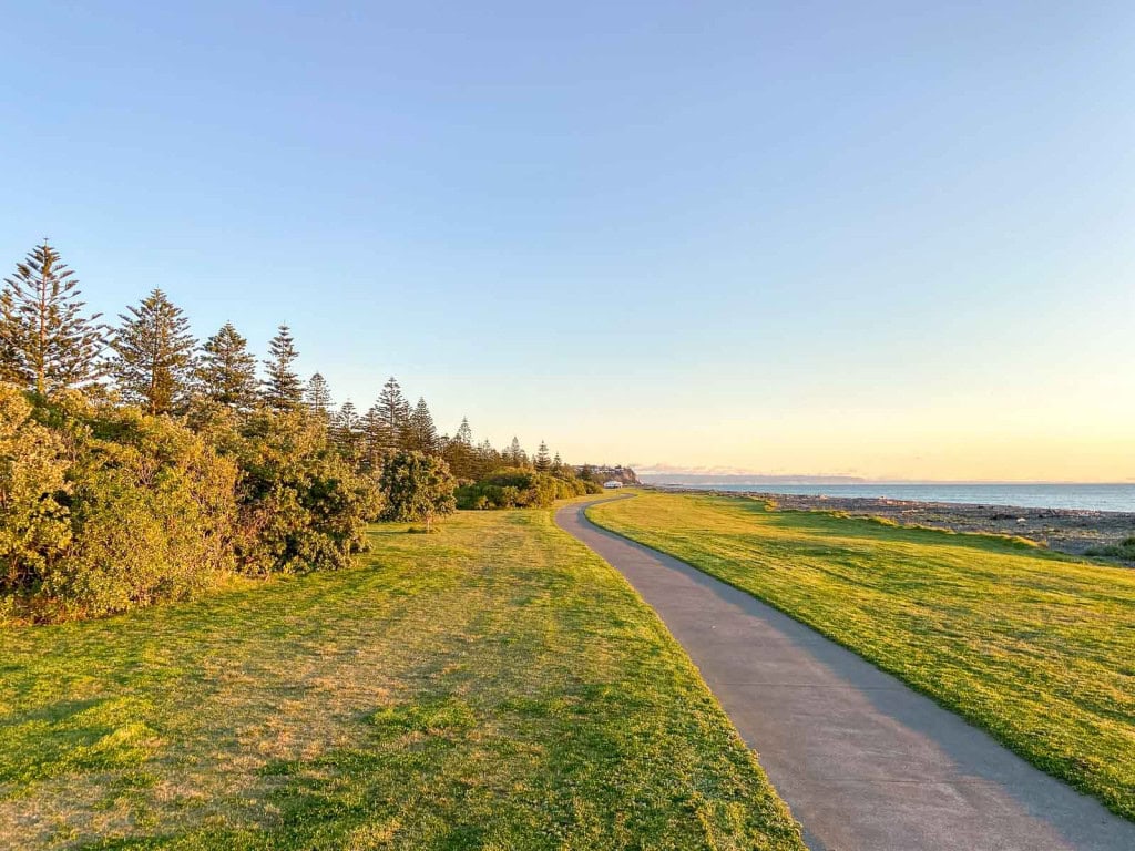 A paved trail in Napier next to the ocean, with Norfolk pines on the left side of the trail and grass lining both sides.