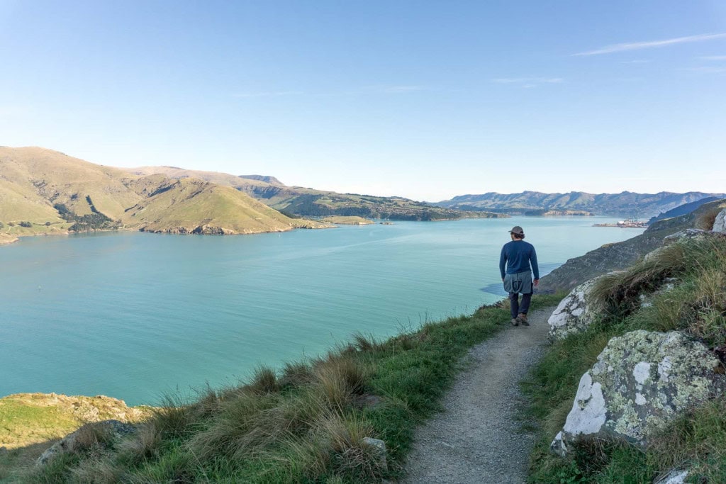 Ty from Weekend Path on the Godley Head Loop Track.