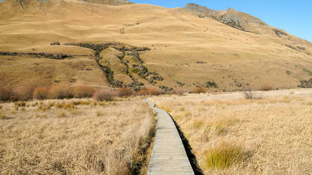 A boardwalk on the Moke Lake Loop Track with golden grasses on the sides of the trail and mountain scenery in the background.
