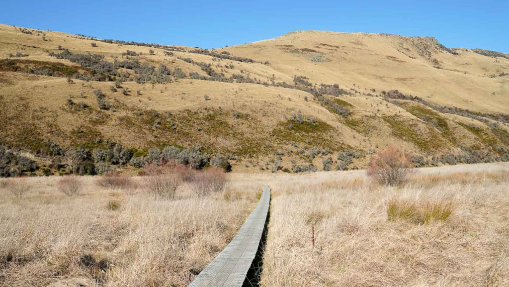 A boardwalk through a meadow with golden grasses on the Moke Lake Loop Track.