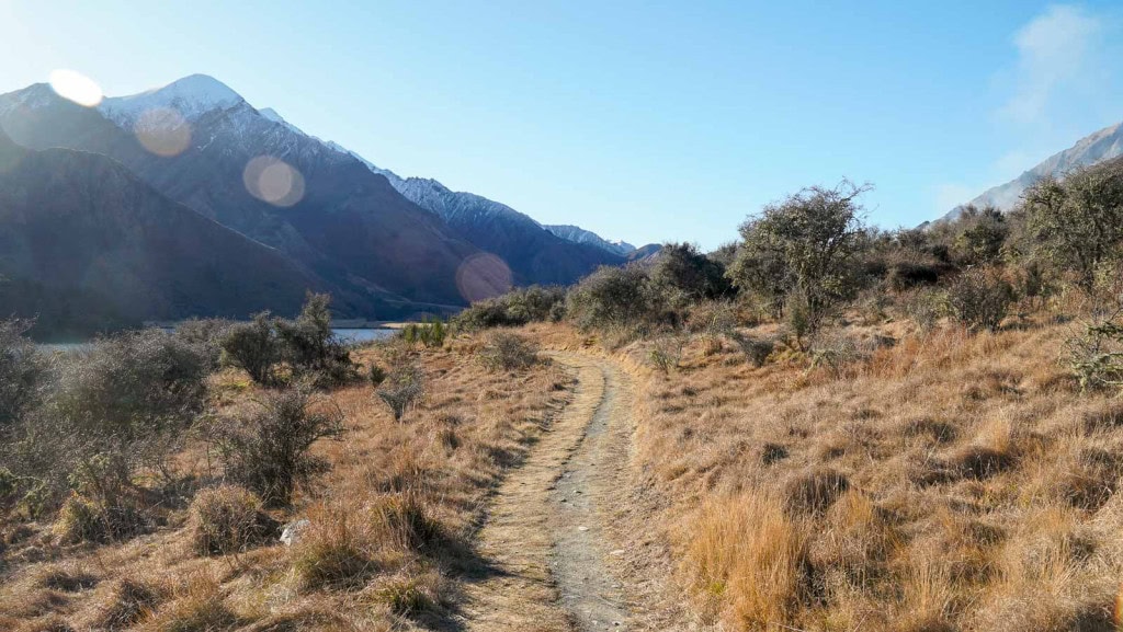 The end section of the Moke Lake Loop Track on the way back to the Moke Lake DOC Campground.