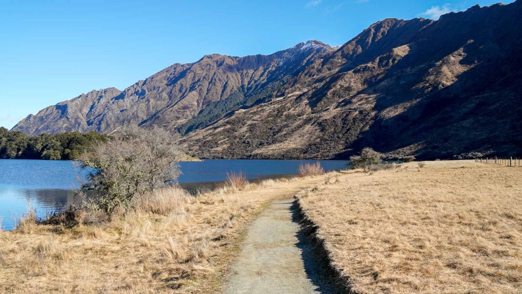 A flat lakeside section of the Moke Lake Loop Track with golden grasses on the side of the trail.